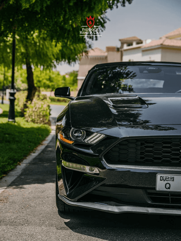 Ford Mustang (Black)