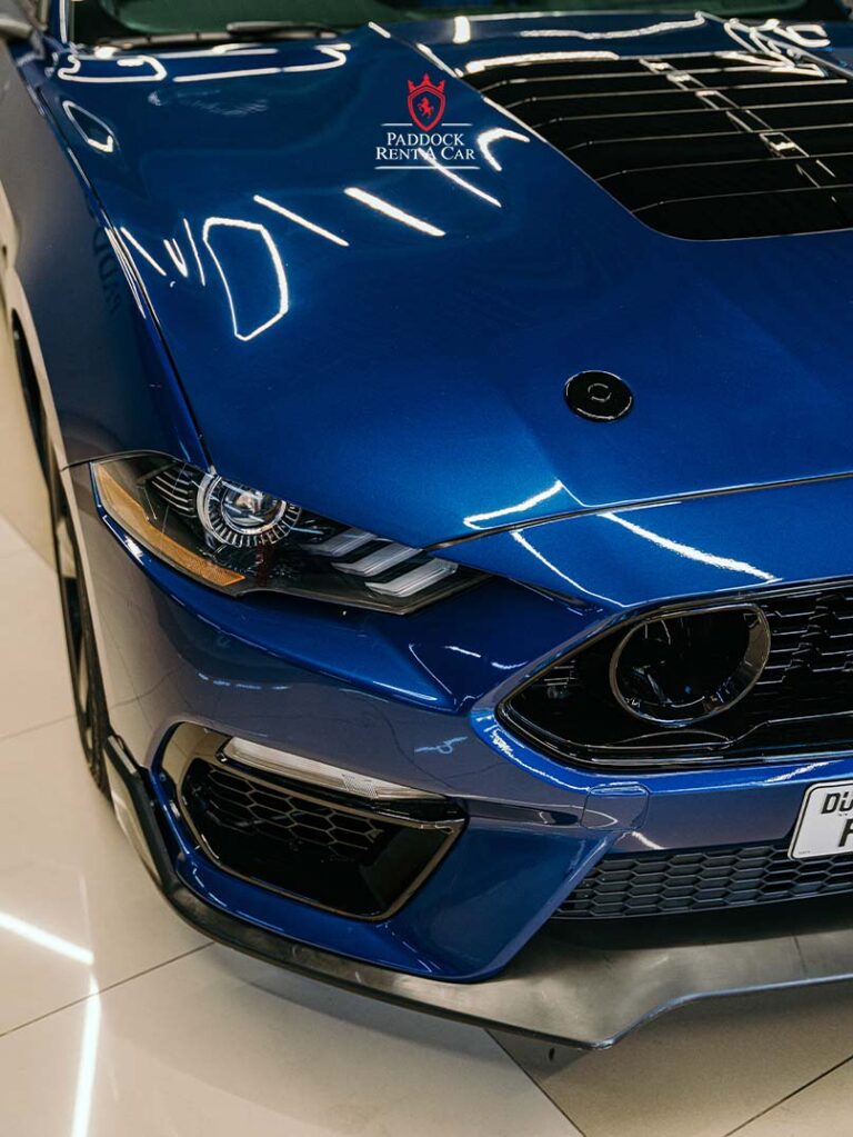Ford Mustang (Blue)